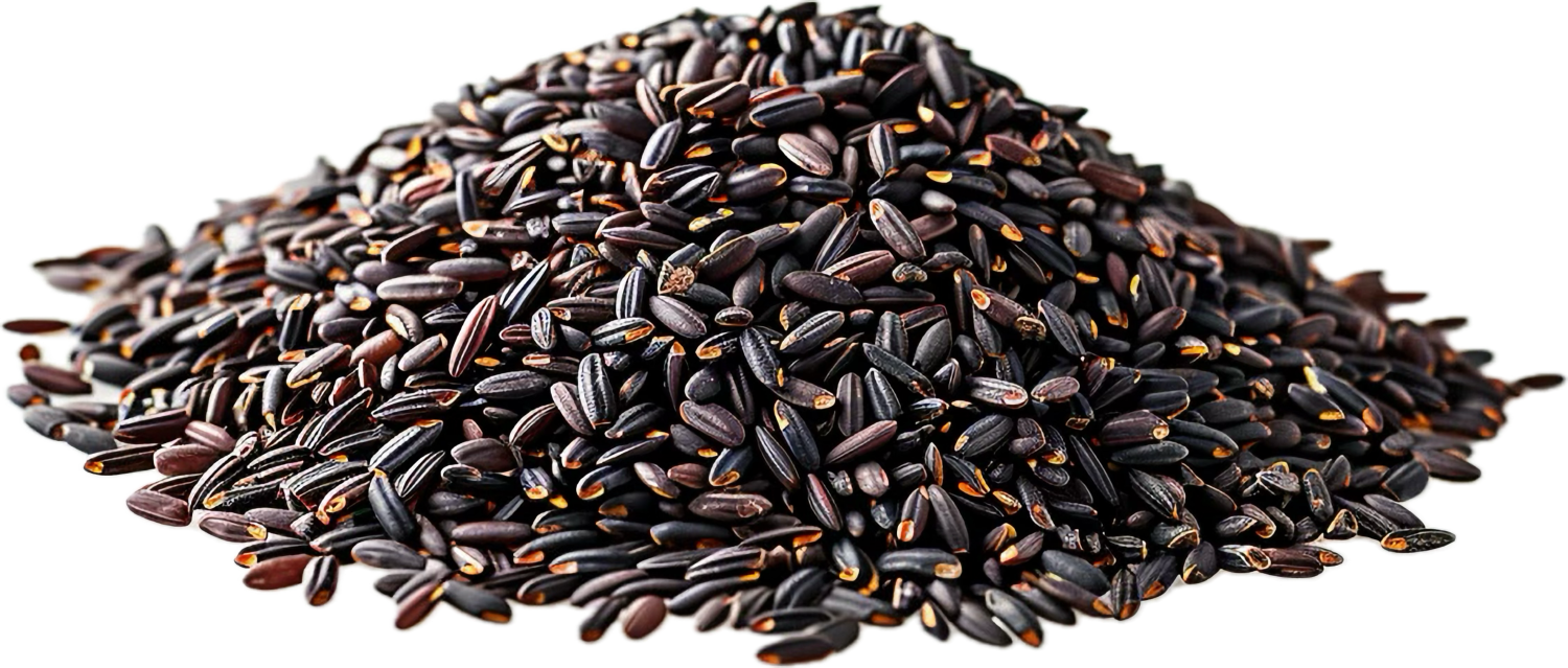 Black Rice